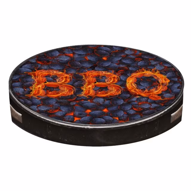 Schaumstoff Sitzkissen BBQ