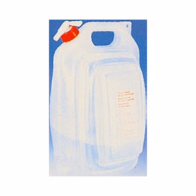 Flacher Wasser-Kanister 9,4 l