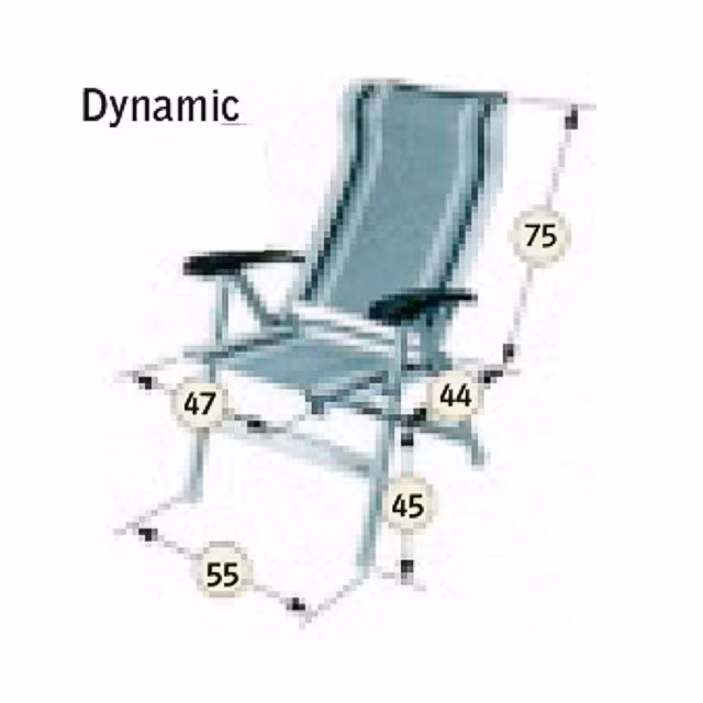 Dynamic