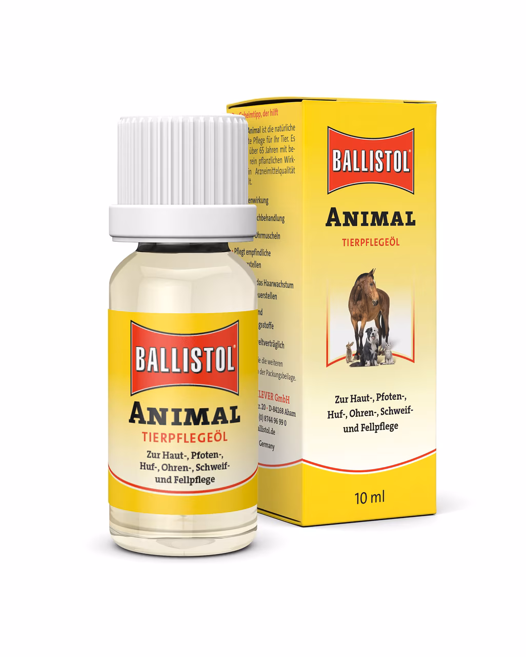 Animal