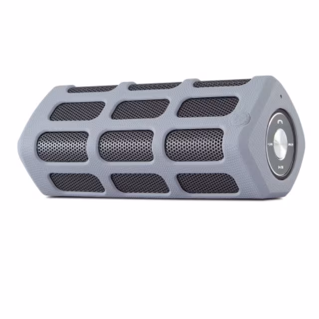 Bluespeaker OD 300